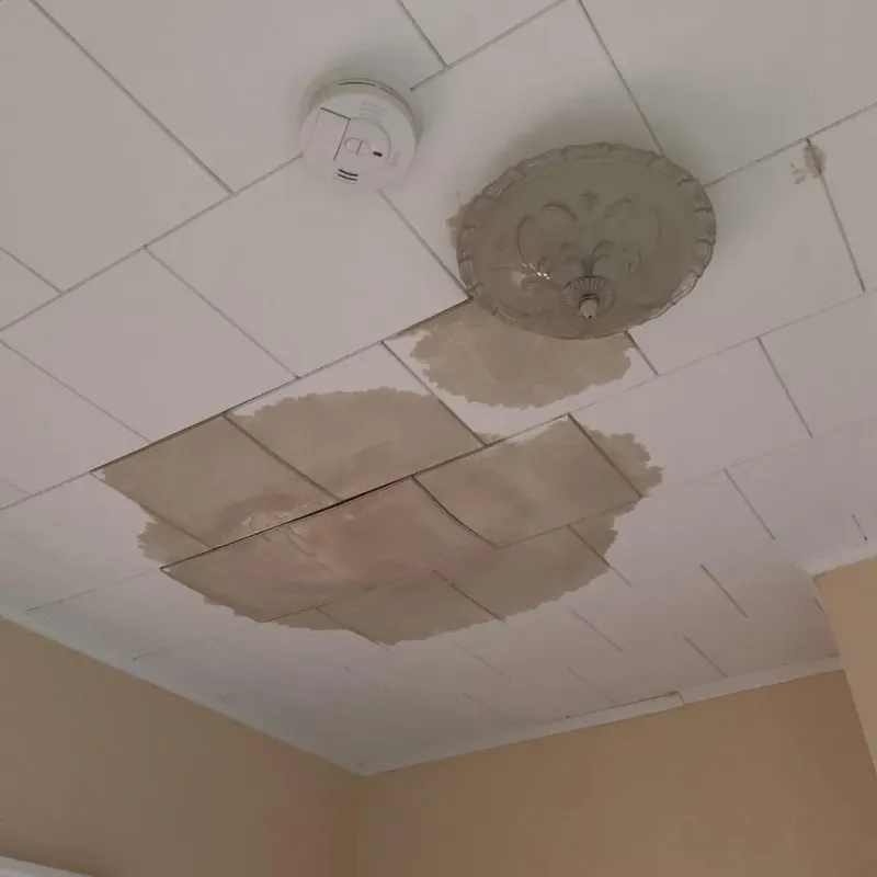 Ceiling Water Damage Repair in Kingston, IL