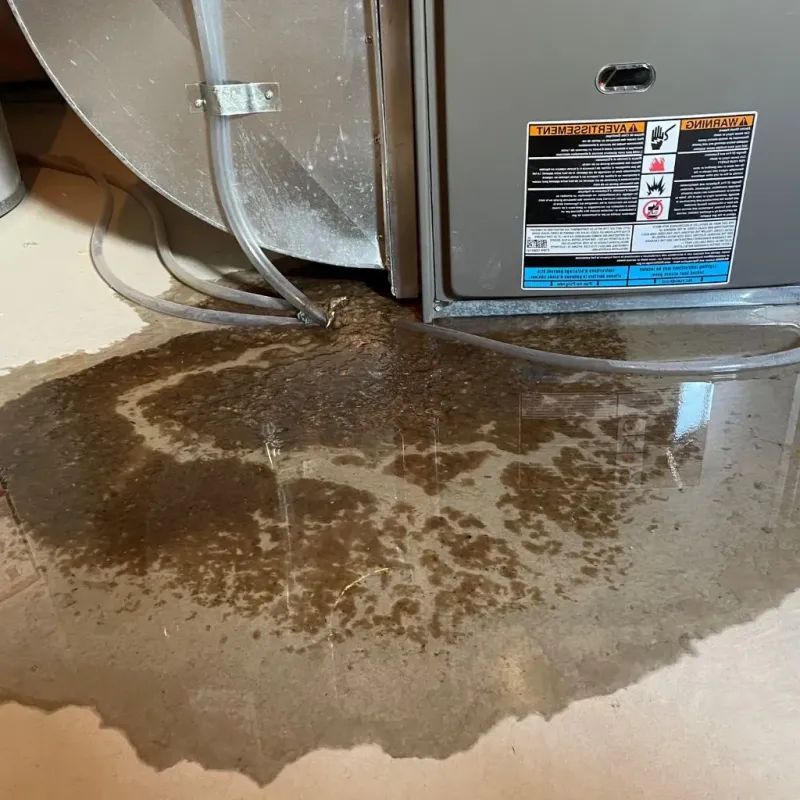 Pipe Burst and Leak Restoration in Kingston, IL